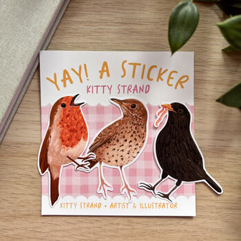 Garden Bird Sticker, Gift Set. Of Three Vinyl Stickers, 3 of 11