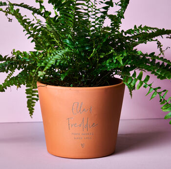 Bespoke Terracotta Plant Pot, 2 of 3