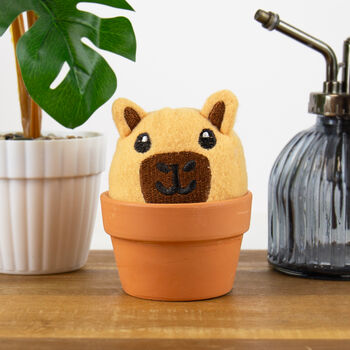Grow Your Own Capybara Grow Pal, 3 of 4