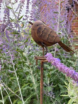 Metal Robin Redbreast Garden Stake – Bird Ornament, 6 of 8