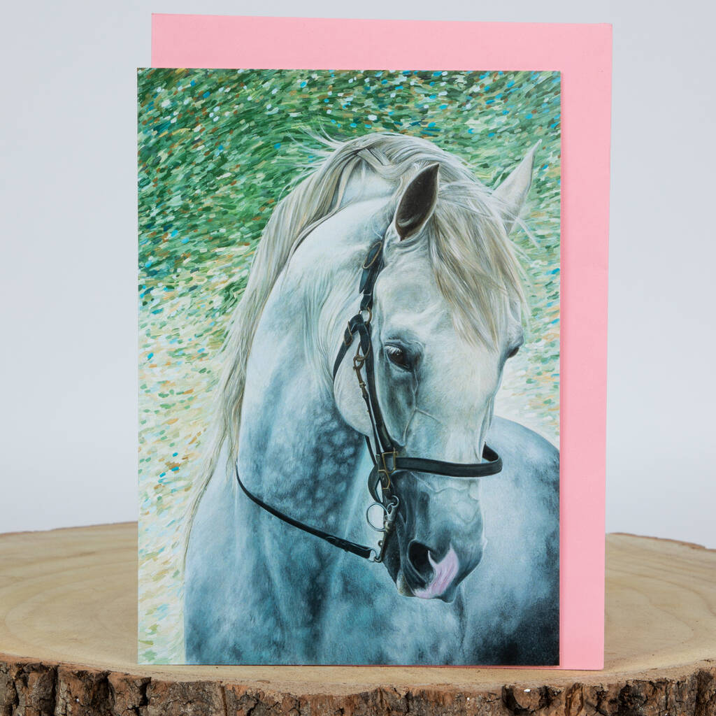 White Horse Horse Greeting Card Horse Gifts By Caroline Towning Art