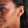 Sterling Silver Ginkgo Leaf Earrings In Gift Box, thumbnail 3 of 8