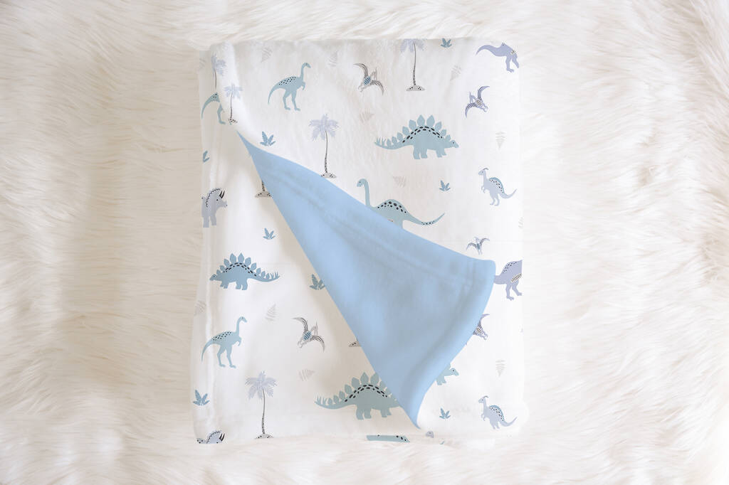 Blue Dinosaurs Baby Blanket By Big Little Bedrooms