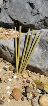 Reusable Bamboo Straws Set Of Six, 3 of 5