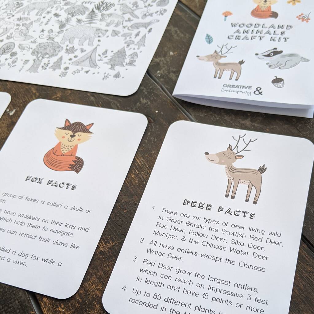 Woodland Animals Craft Kit By Creative and Contemporary