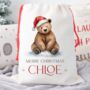 Bear Special Delivery Christmas Sack, thumbnail 1 of 2