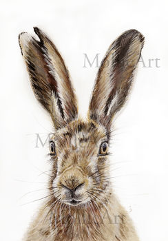 Startled Hare, Print Of Original Painting, 2 of 3