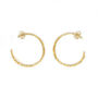 Gold Plated Fern Hoop Earrings, thumbnail 4 of 7