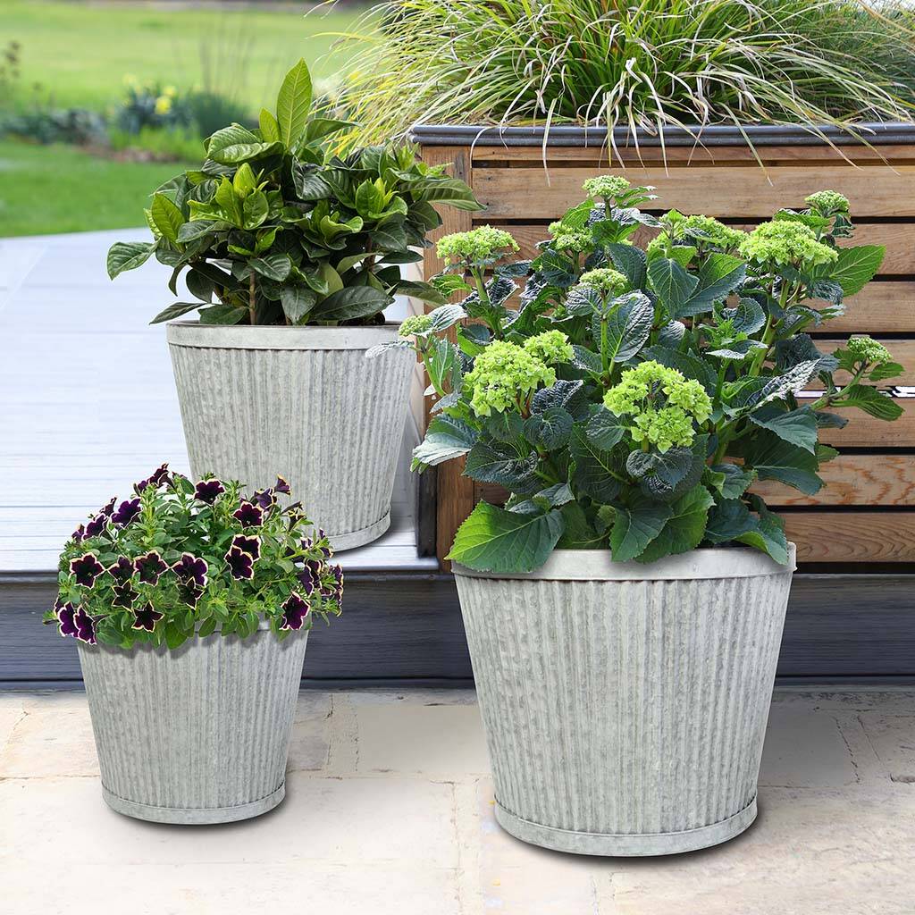 Set Of Three Large Bucket Planters By Dibor