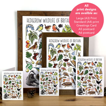 Hedgerow Wildlife Of Britain Greeting Card, 2 of 8