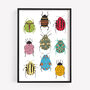 Bugs Fine Art A4 Giclee Print, Beetle Illustration, thumbnail 1 of 5