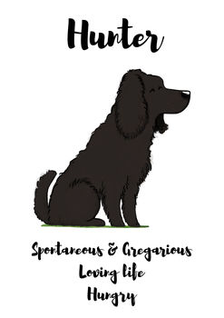 Cocker Spaniel Personalised Name And Personality Print, 3 of 4