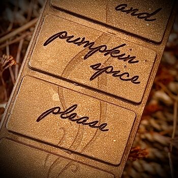 Autumn Bookish Gift | Books And Pumpkin Spice Wax Melt Bar, 2 of 4
