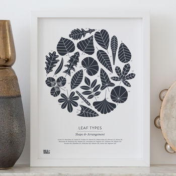 'Leaf Types' Illustrated Art Print In Sheer Slate, 2 of 3