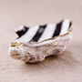 Hand Painted Stripe Oyster Shell Trinket Dish, thumbnail 3 of 5
