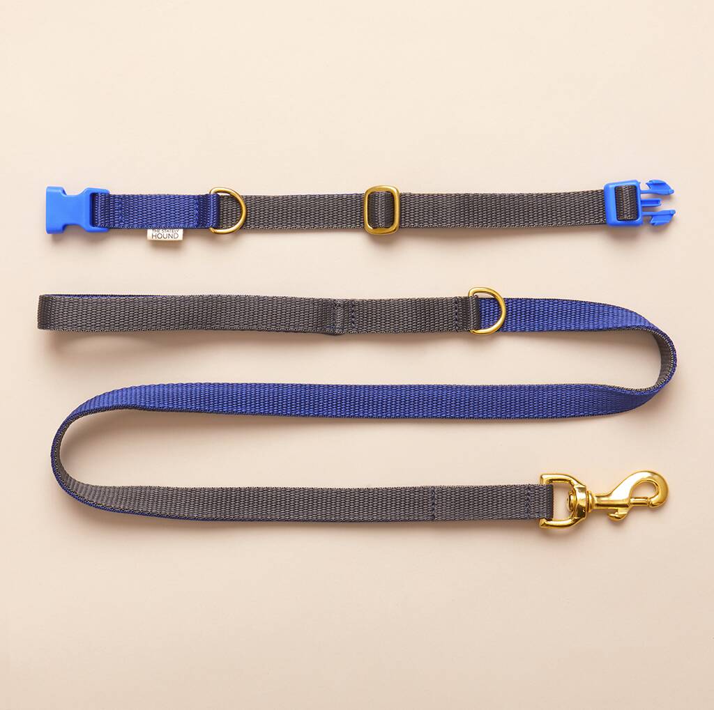 Quick Release Dog Collar And Lead Set By The Stately Hound