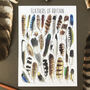 Feathers Of Britain Illustrated Postcard, thumbnail 1 of 9