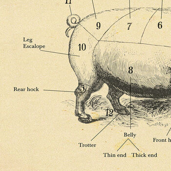 British Pork Butcher Cuts Print, 4 of 8