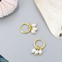 Natural Oval Pearl Trio Cz Huggie Hoops, thumbnail 7 of 12
