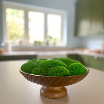 Large Moss Bowl, 2 of 5