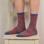 Lambswool Ankle Socks For Men : Animals, thumbnail 1 of 7
