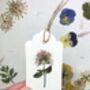 10 Pressed Flower Gift Tags Assorted Set, thumbnail 3 of 3
