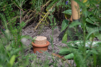 Terracotta Olla Irrigation Pot Watering Reservoir H32cm, 4 of 4