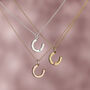 Personalised Birthstone Horseshoe Necklace, thumbnail 2 of 12