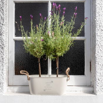 Personalised Engraved Flower Planter Nan’s Mothers Day Gift, 4 of 4