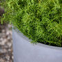 Noma Grey Footed Planter, thumbnail 8 of 10