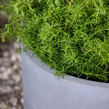 Noma Grey Footed Planter, 8 of 10