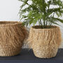 Set Of Two Round Fringed Seagrass Baskets, thumbnail 1 of 3