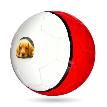 Personalised Photo Football – Your Photograph On A Football Ball, 3 of 8