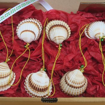 Jingle Shells Handmade Set Of Six Christmas Decorations, 7 of 7