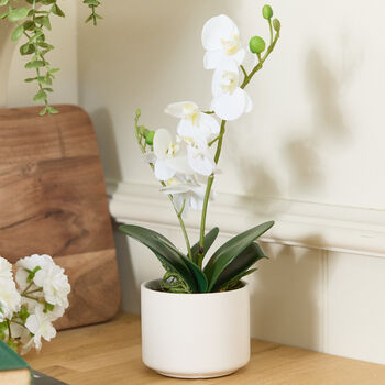 Potted Artificial White Orchid, 2 of 5