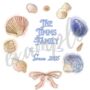 Sea Shells Personalised Plant Pot, thumbnail 3 of 7