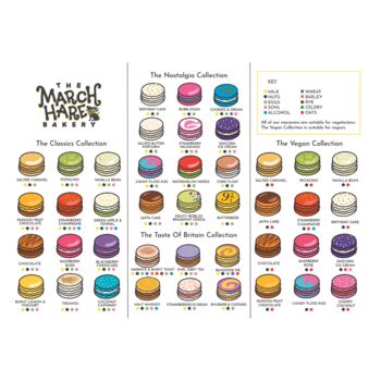 Gourmet Macaron Favours Pack Of 10, 9 of 9