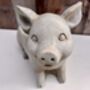 Adorable Pig Plant Pot Stone Indoor Planter Fun Pig Gift, thumbnail 10 of 10