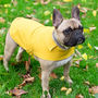 All Weather Dog Coat, With Carry Pouch, thumbnail 1 of 12