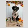 Patchwork/Plaid Dog Poo Bag Holder, thumbnail 4 of 7