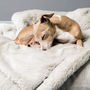 Charley Chau Faux Fur Dog Blanket In Silver Mink, thumbnail 1 of 5
