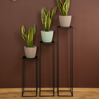 Plant Stand, 3 of 6