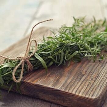 Herb Plants 'French Tarragon' Two X Plants 9cm Pots, 2 of 10