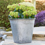 Traditional Grey Metal Bucket Planter, thumbnail 1 of 5