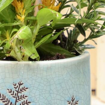 Leaf Patterned Blue Ceramic Plant Pot, 5 of 9