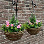 Set Of Two Artificial Azalea Topiary Hanging Baskets, thumbnail 1 of 4