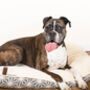 Reversible Luxury Pet Dog Mattress, thumbnail 1 of 8