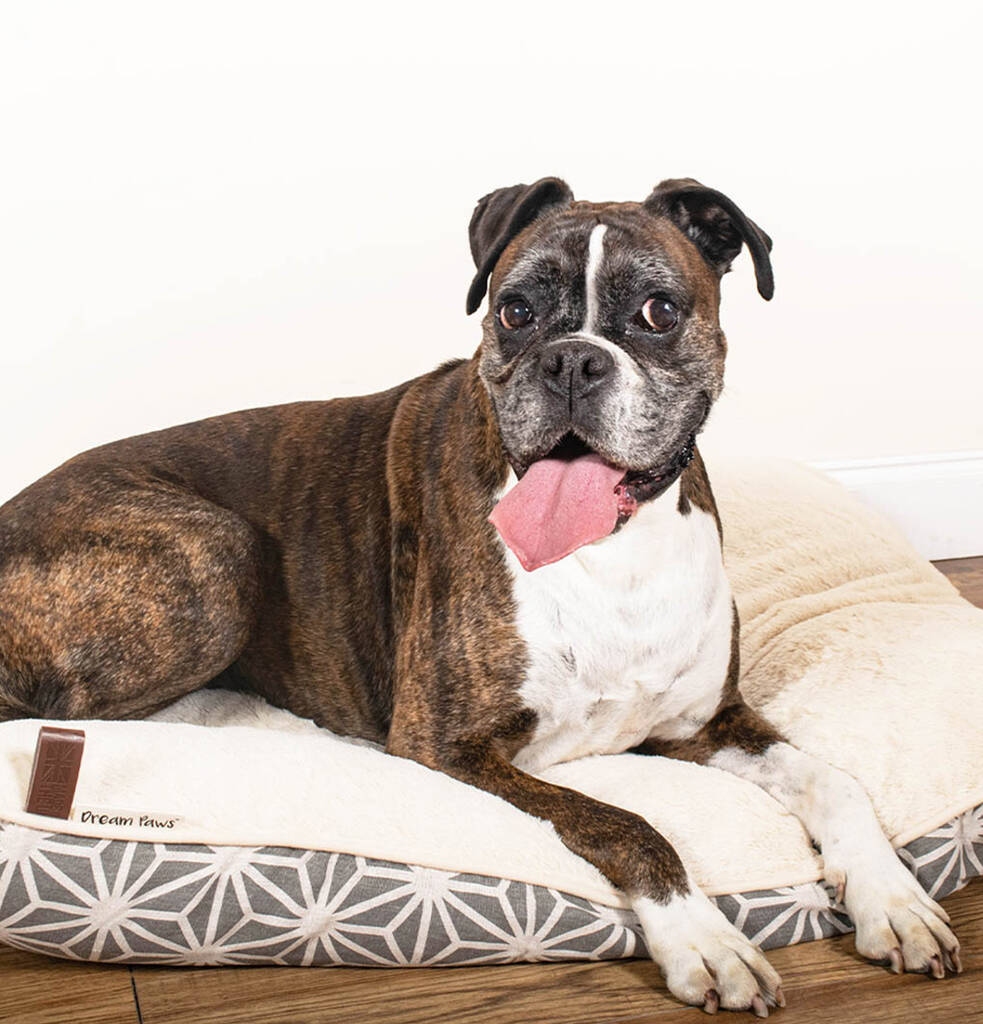 Reversible Luxury Pet Dog Mattress, 1 of 8