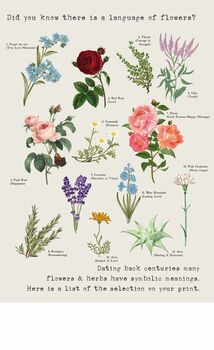 Our Story In Bloom Print Language Of Flowers, 6 of 9