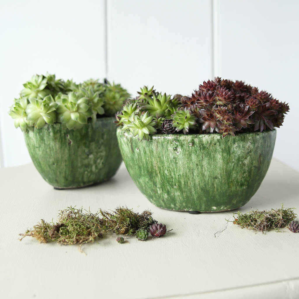 Green Oval  Plant  Pot  By Clem Co notonthehighstreet com